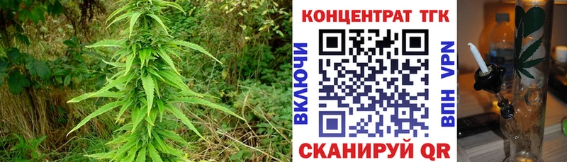 это официальный сайт  цена наркотик  Горно-Алтайск  Дистиллят ТГК жижа 