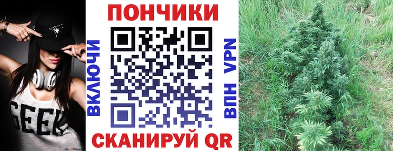 Конопля OG Kush  Горно-Алтайск 